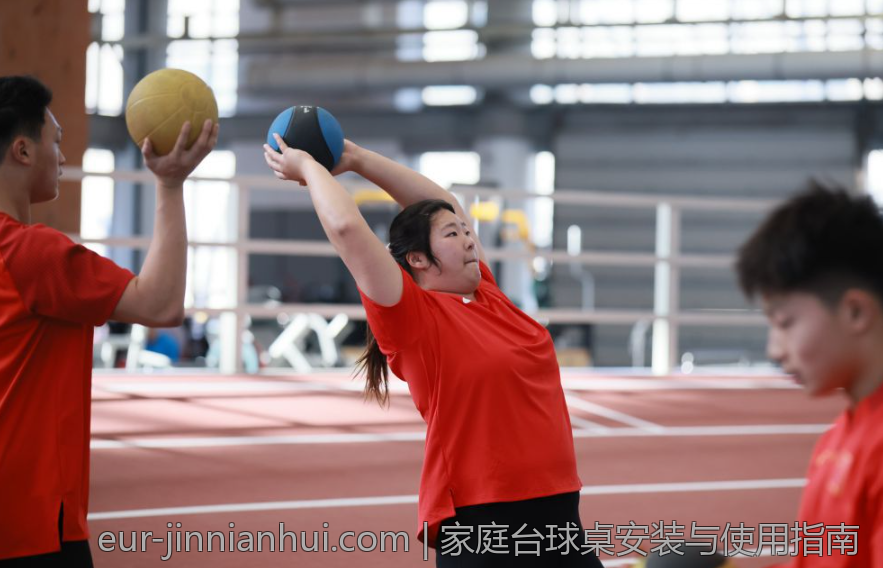 家庭台球桌安装与使用指南
